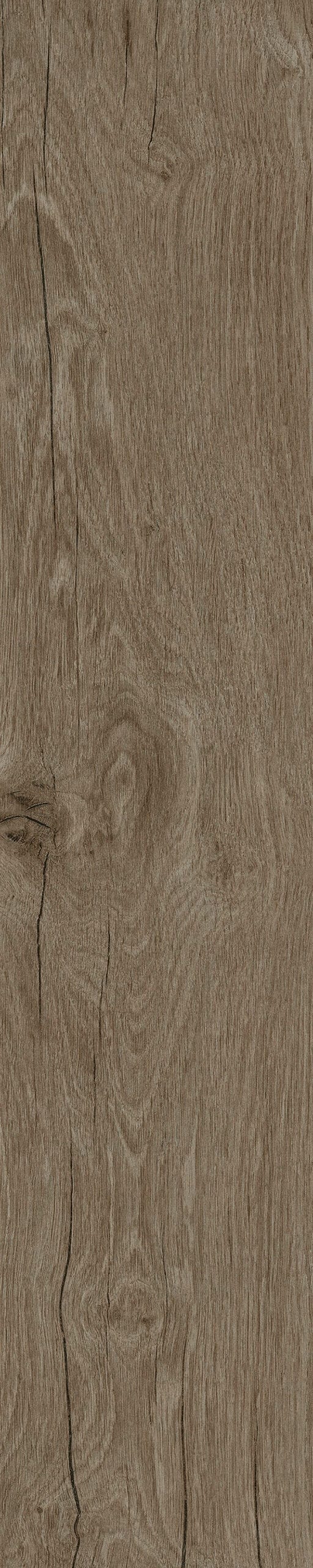Native Tortora 20 × 100