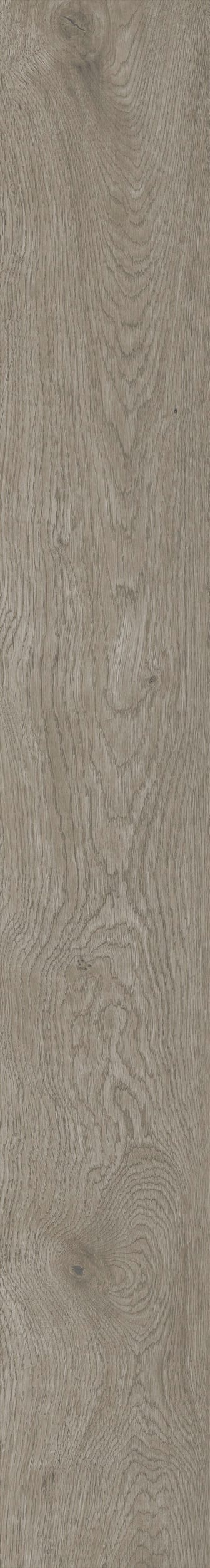 Boheme Tortora 20 × 150