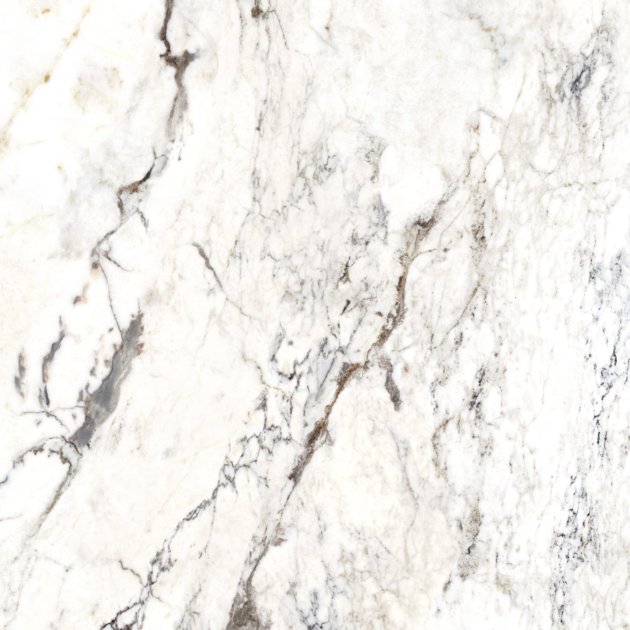 Dream Pure Breccia Capraia 120 × 120