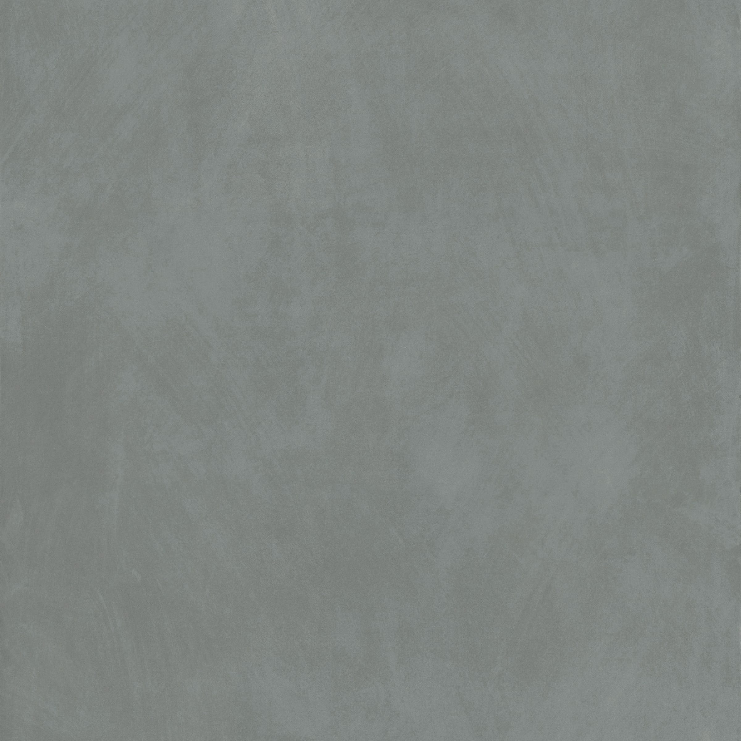 Wide Olive 120 × 120