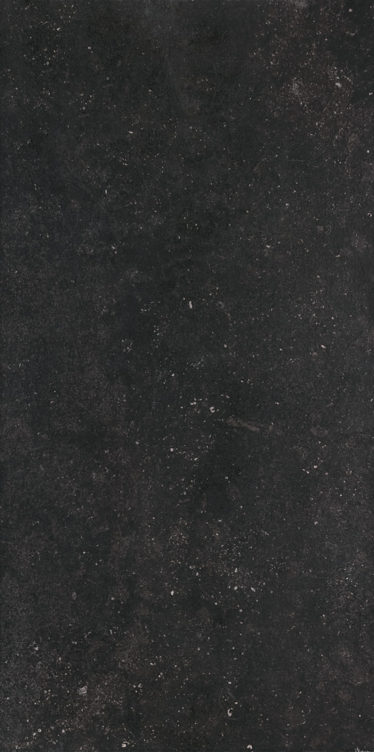 Bluestone Anthracite 60 × 120