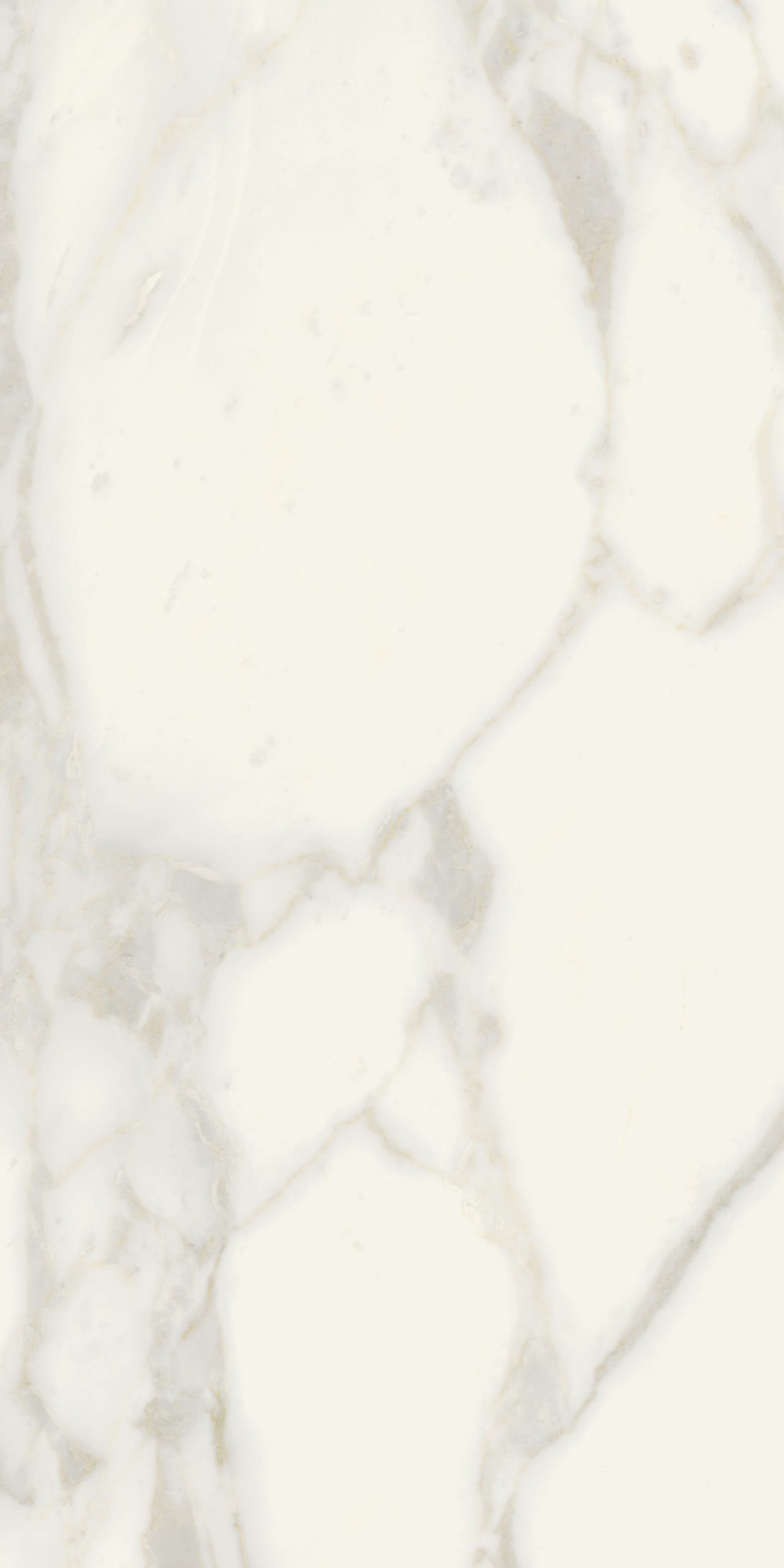 Bistrot Arabescato Glossy 72 × 145