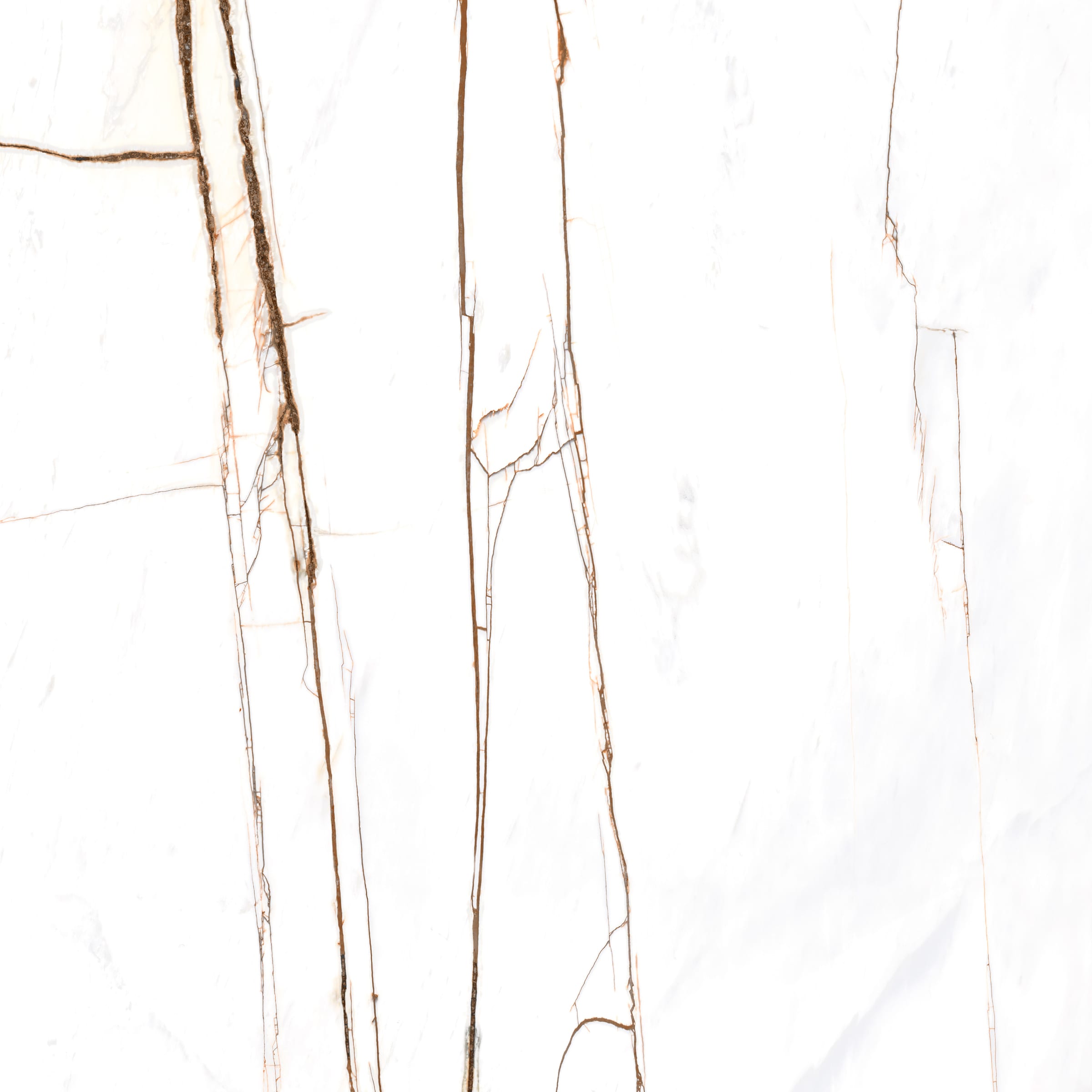 Archimarble 2 Sahara Blanc 120 × 120