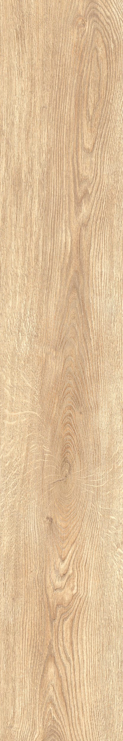 Inedito Avorio 20 × 120