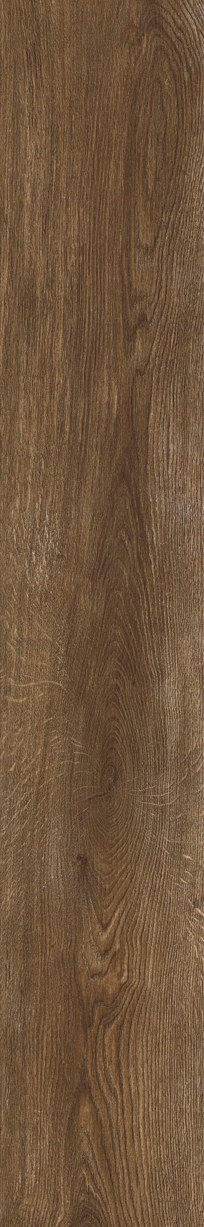 Inedito Cannella 20 × 120