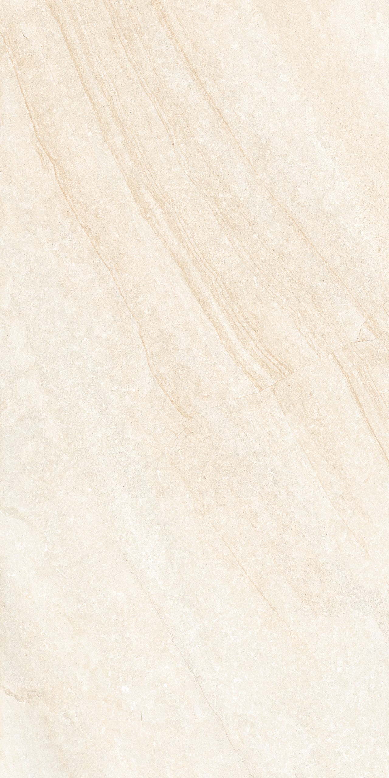 Blended Beige 60 × 120
