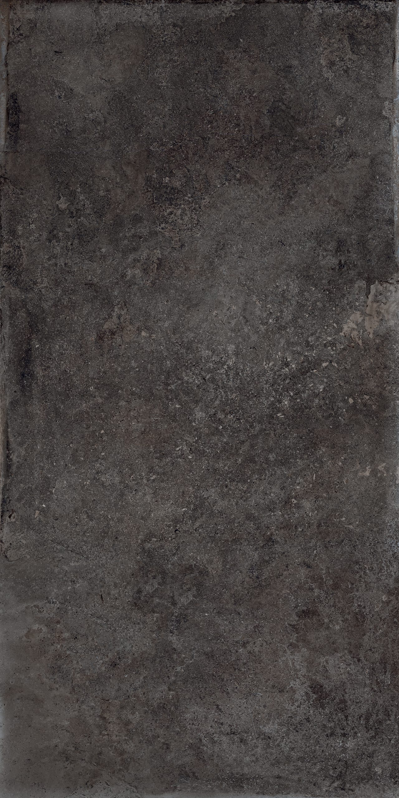 Mas De Provence Coal 90.9 × 182