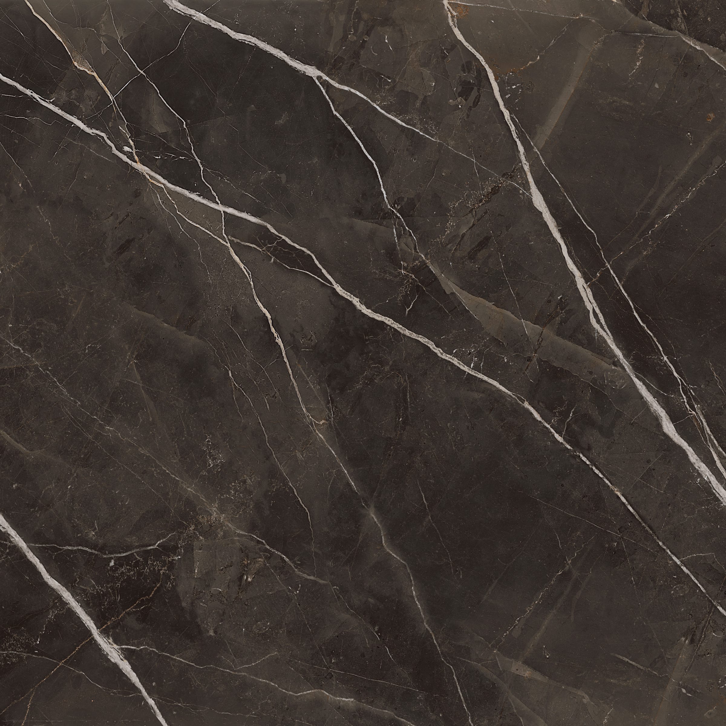 Archimarble 2 Calacatta Black 120 × 120