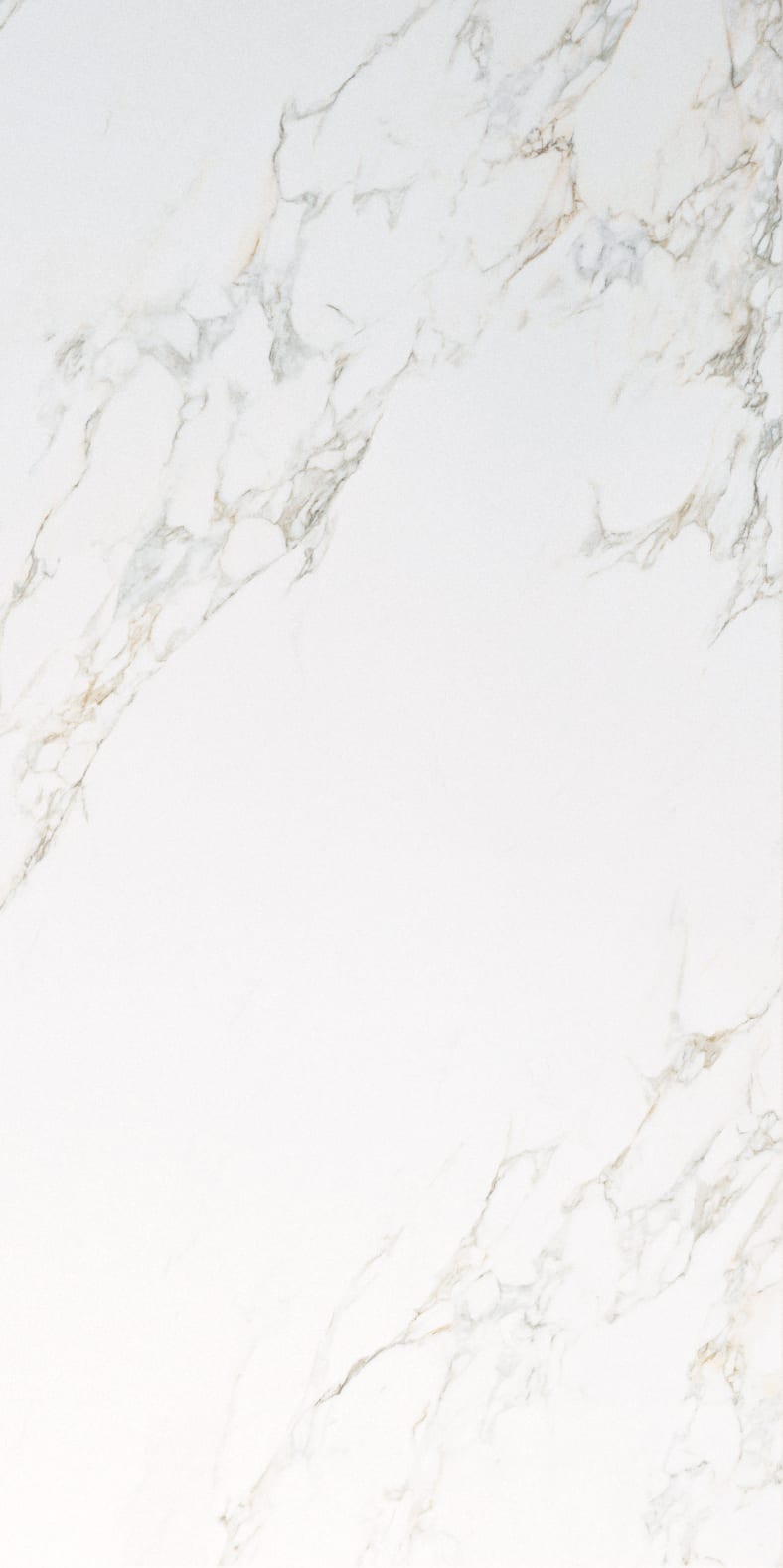 Marble Exp Calacatta Gold 80 × 160