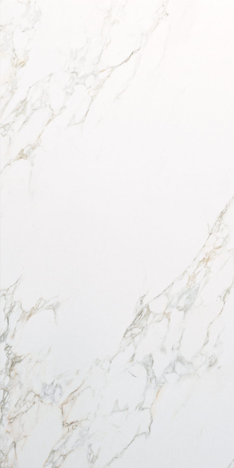 Marble Exp Calacatta Gold Sh 80 × 160